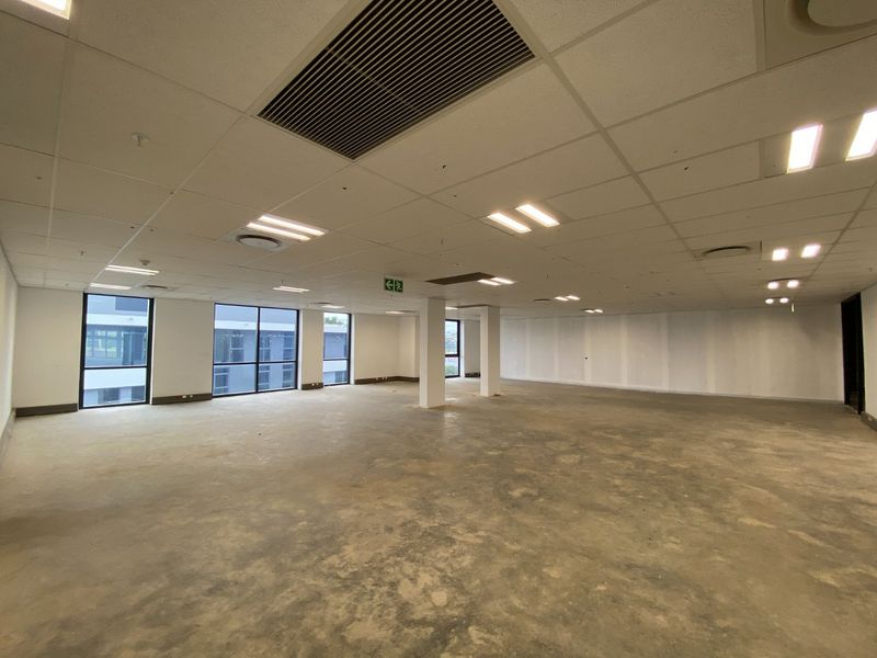 Open-plan commercial office space featuring a suspended ceiling, recessed lighting, large windows, and unfinished concrete flooring, ready for tenant fit-out.