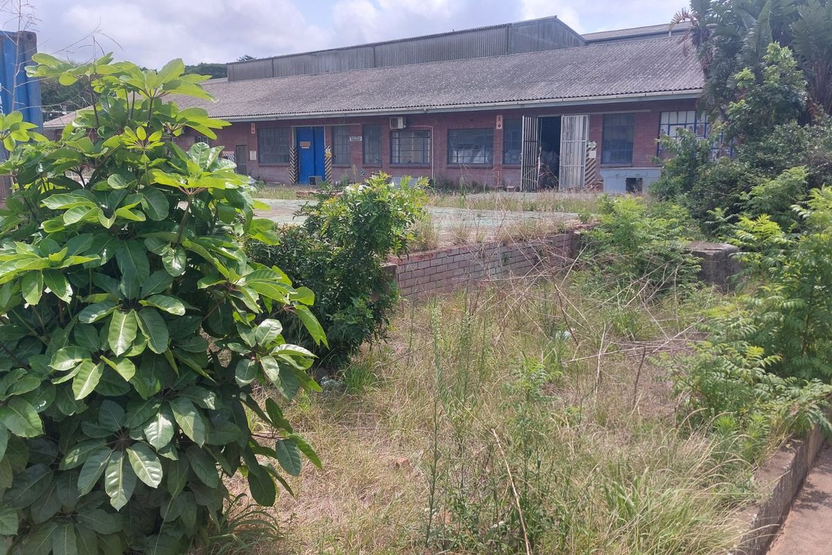 Open yard space for rental in Umbogintwini. - Photo 4