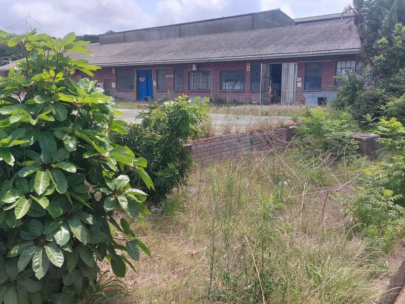 Open yard space for rental in Umbogintwini. - Photo 4