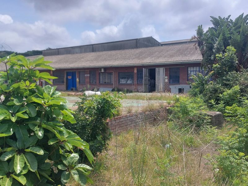 Open yard space for rental in Umbogintwini. - Photo 2