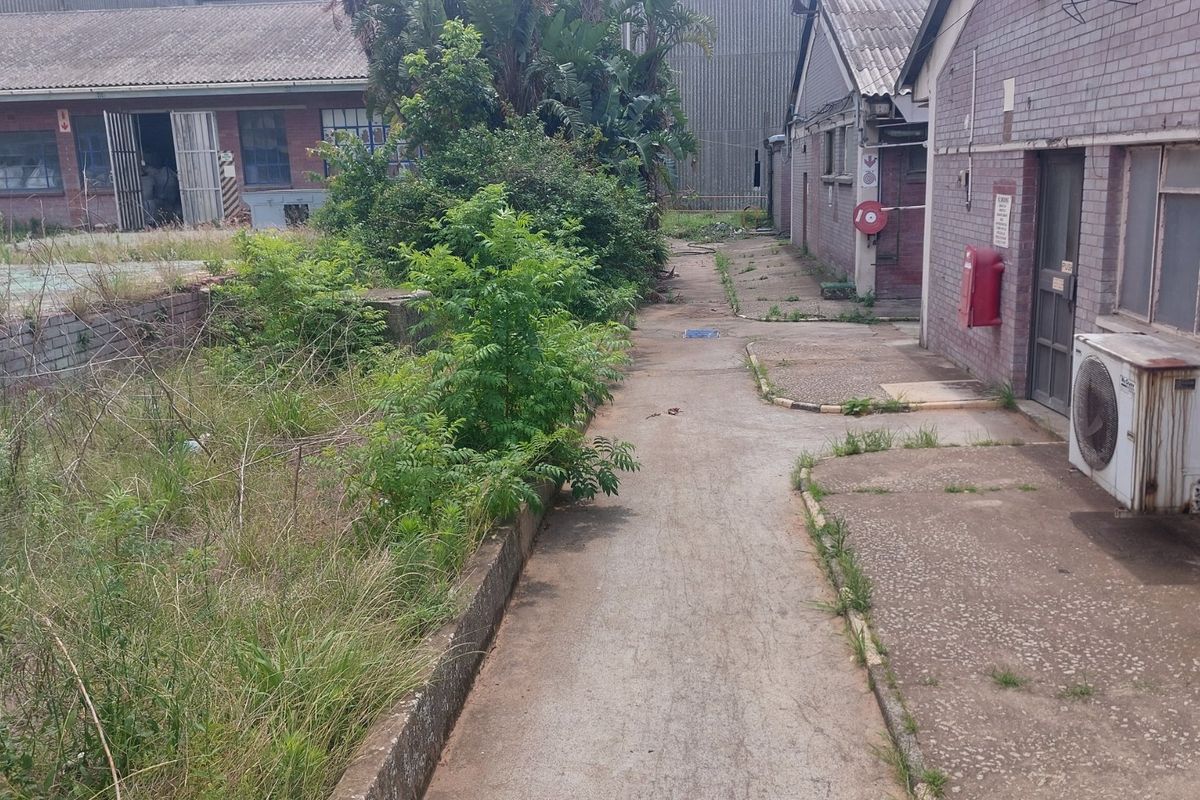 Open yard space for rental in Umbogintwini. - Photo 5