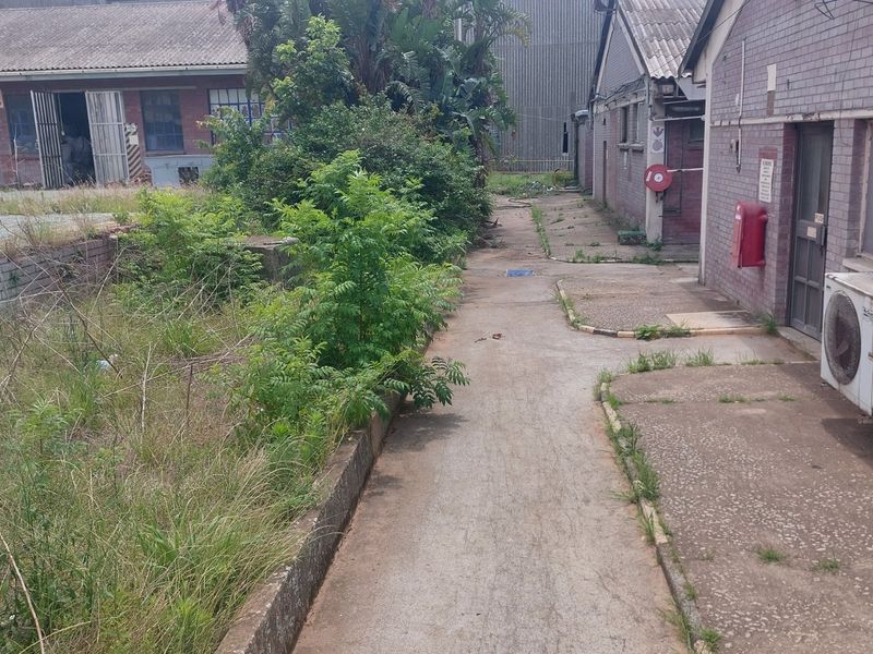 Open yard space for rental in Umbogintwini. - Photo 5