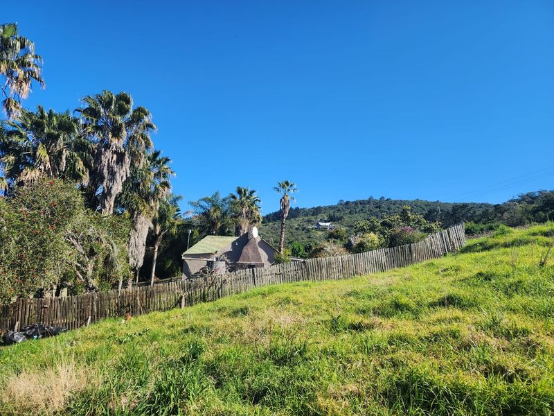 In the heart of Rondevlei Community, 1.5 Hectare smallholding waiting for your restorative touch - Photo 10