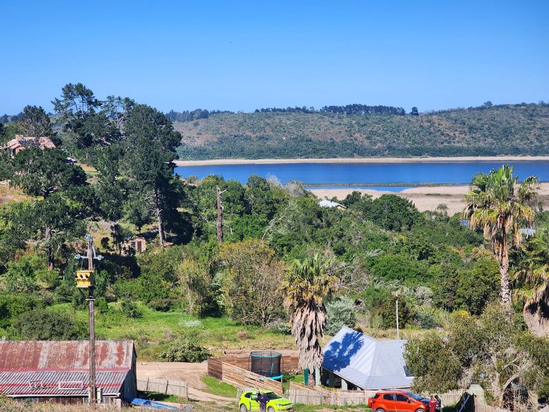 In the heart of Rondevlei Community, 1.5 Hectare smallholding waiting for your restorative touch - Photo 8