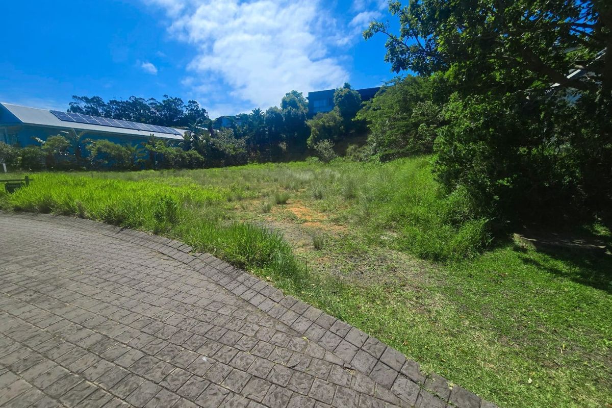 Create Your Coastal Lifestyle in Simbithi - Photo 4