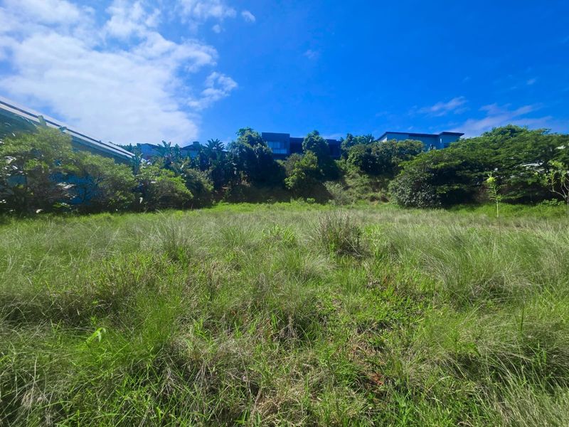 Create Your Coastal Lifestyle in Simbithi - Photo 2