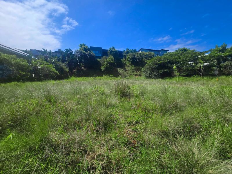 Create Your Coastal Lifestyle in Simbithi - Photo 3