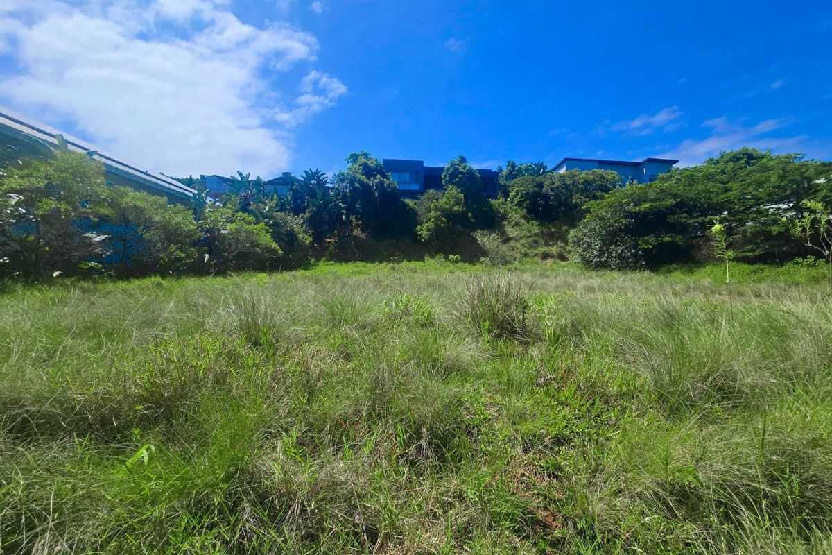 A view of a vacant residential plot featuring sloped terrain and established greenery, set against a clear blue sky.