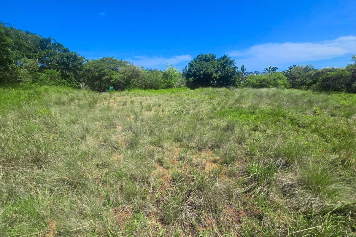A view of a vacant residential plot featuring natural grassland and surrounding mature trees under a clear blue sky.