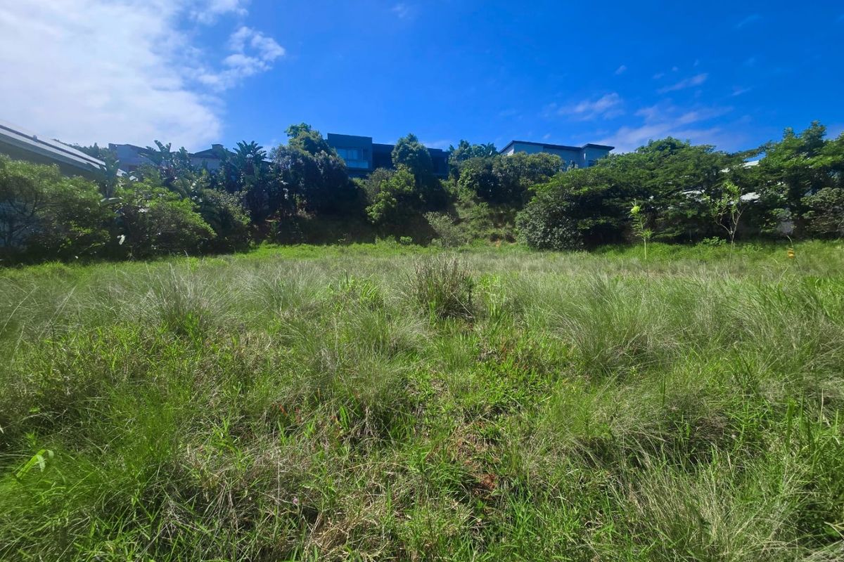 A view of the vacant residential land featuring a sloped terrain with established vegetation and surrounding residential properties in the background.