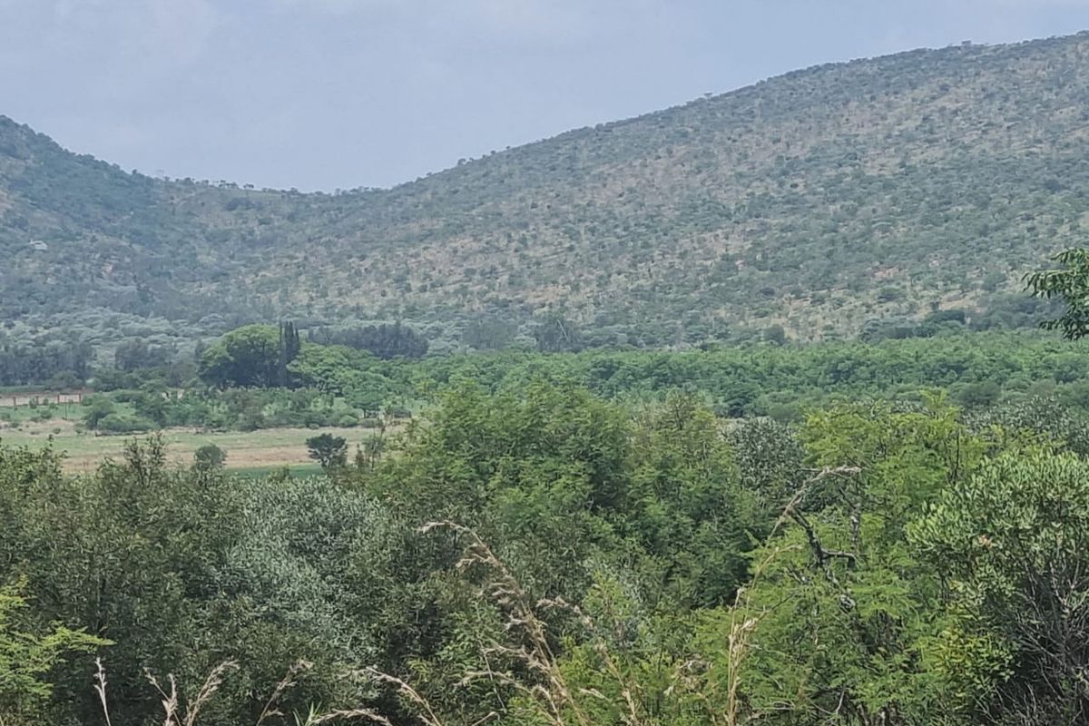 Xanadu Eco Park  Prime 9 680m2 Stand with Development Potential - Photo 2