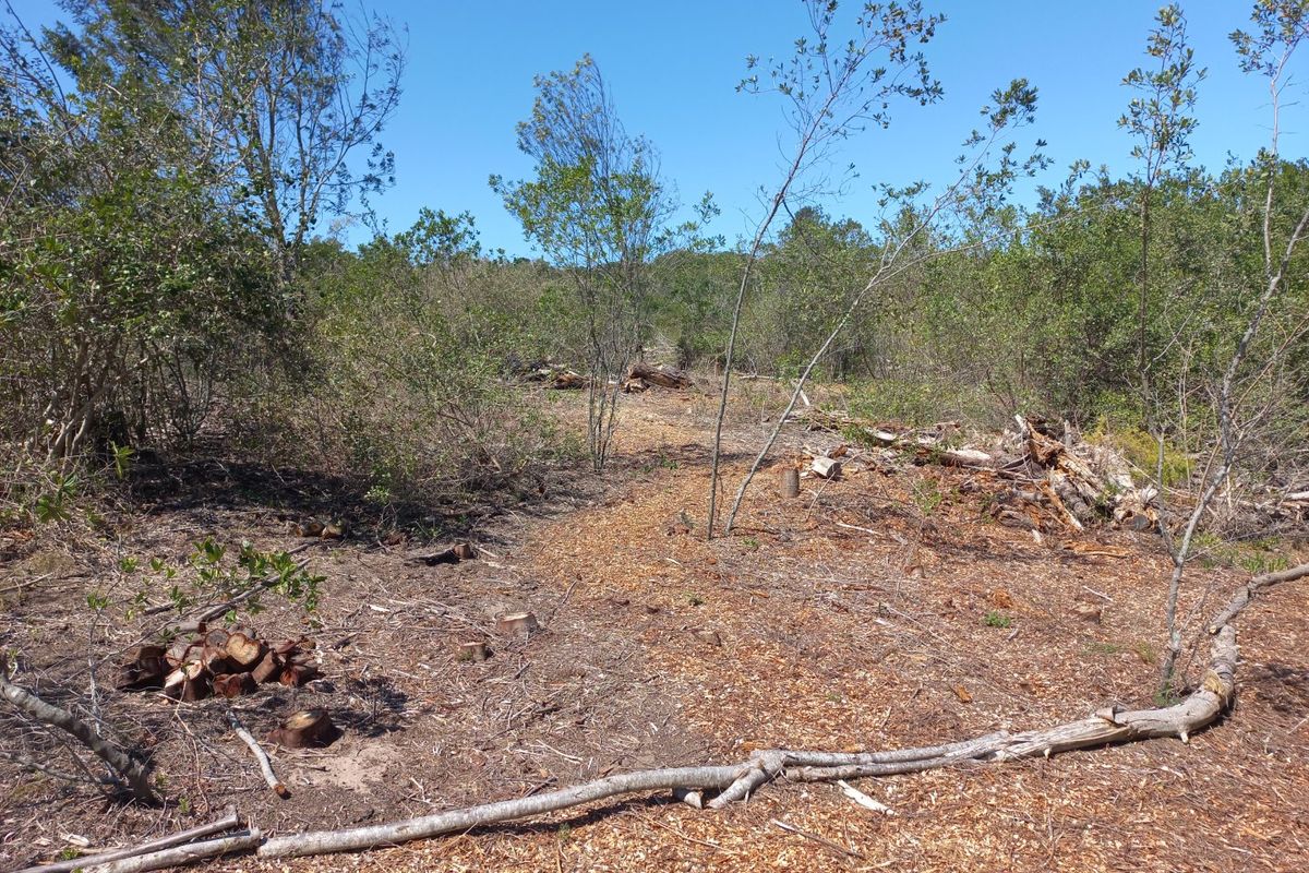 LANGVLEI DUNES, WILDERNESS COASTAL OFFGRID LIVING - Photo 4