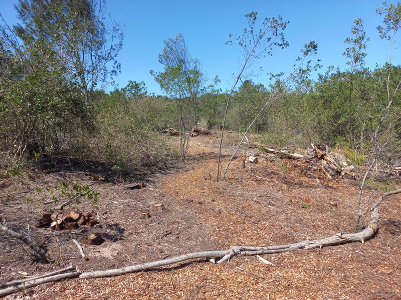 LANGVLEI DUNES, WILDERNESS COASTAL OFFGRID LIVING - Photo 4