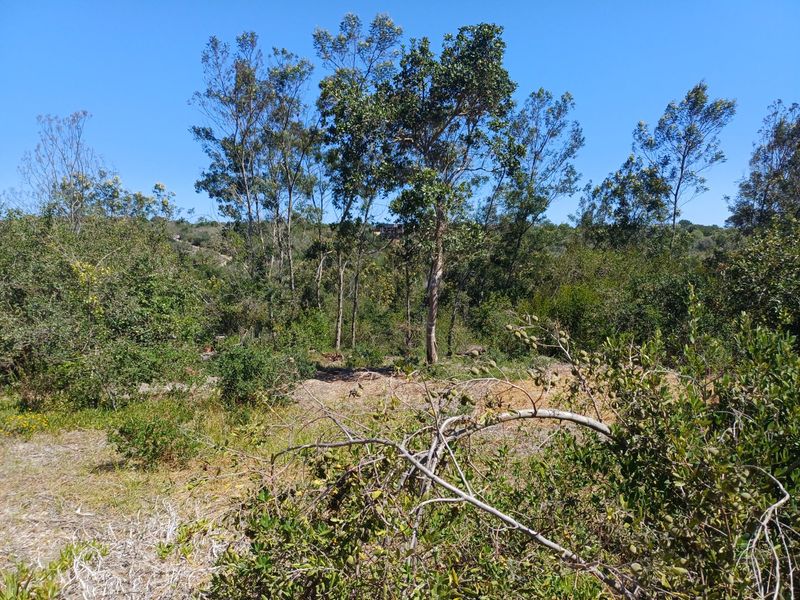 LANGVLEI DUNES, WILDERNESS COASTAL OFFGRID LIVING - Photo 8