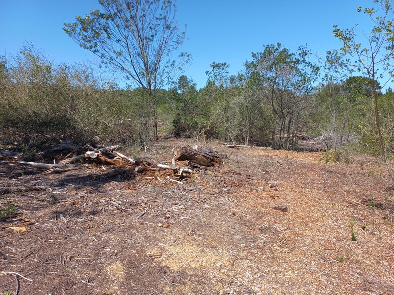 LANGVLEI DUNES, WILDERNESS COASTAL OFFGRID LIVING - Photo 7