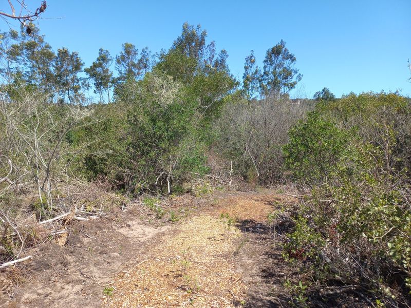 LANGVLEI DUNES, WILDERNESS COASTAL OFFGRID LIVING - Photo 6