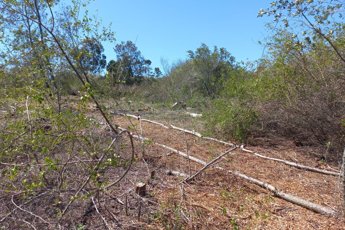 LANGVLEI DUNES, WILDERNESS COASTAL OFFGRID LIVING - Photo 3