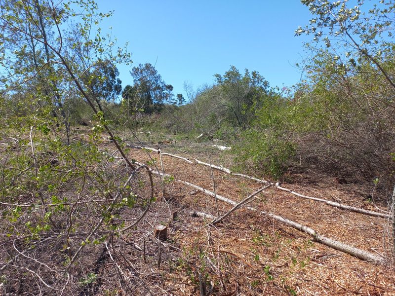LANGVLEI DUNES, WILDERNESS COASTAL OFFGRID LIVING - Photo 3