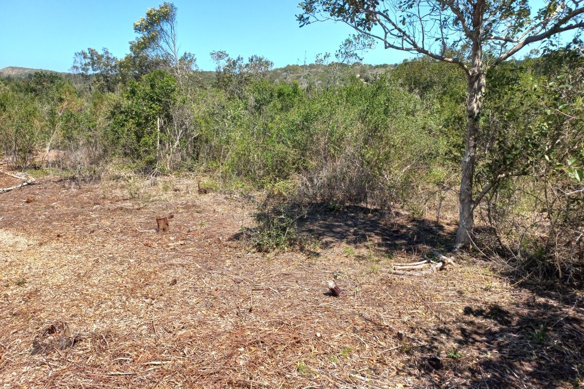 LANGVLEI DUNES, WILDERNESS COASTAL OFFGRID LIVING - Photo 2