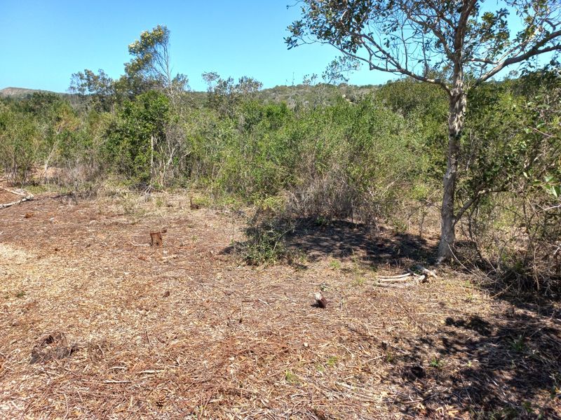 LANGVLEI DUNES, WILDERNESS COASTAL OFFGRID LIVING - Photo 2