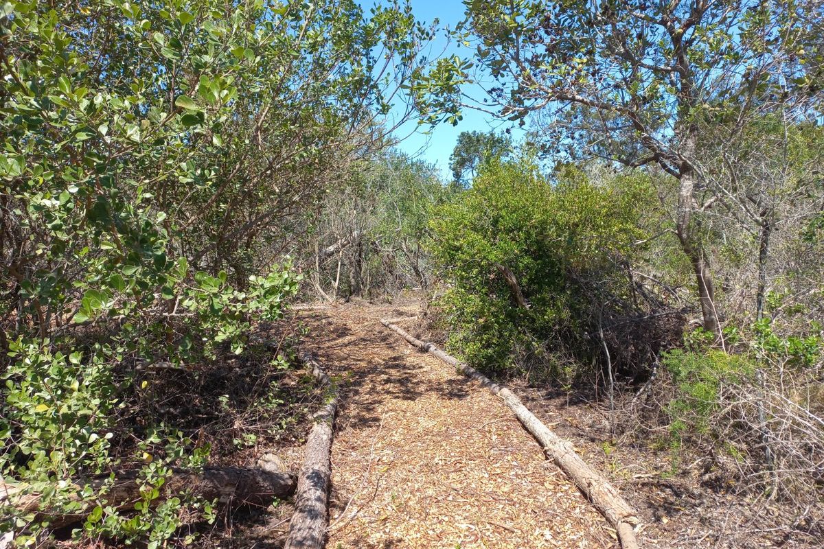 LANGVLEI DUNES, WILDERNESS COASTAL OFFGRID LIVING - Photo 5