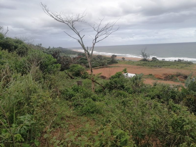 0 Bed Vacant Land in Stanger Central for Sale - Photo 4