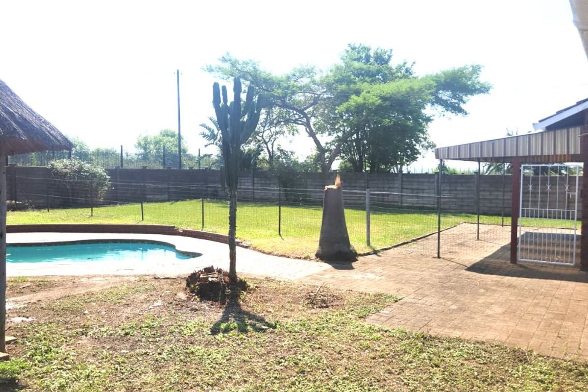 Contemporary Well Maintained Five Bed Freestanding Home With Pool To Let- Markham Road, Bisley, Pietermaritzburg. - Photo 5