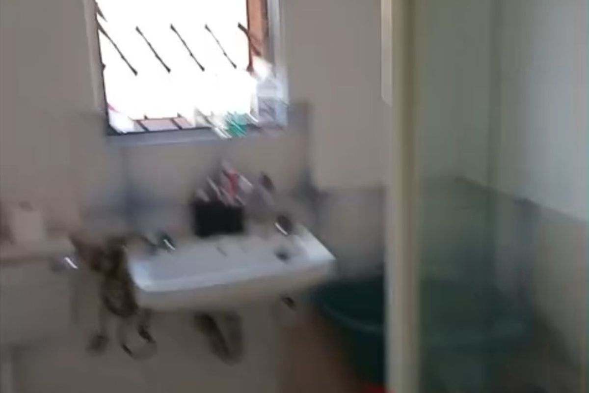 HOUSE FOR SALE GUGULETU - Photo 3