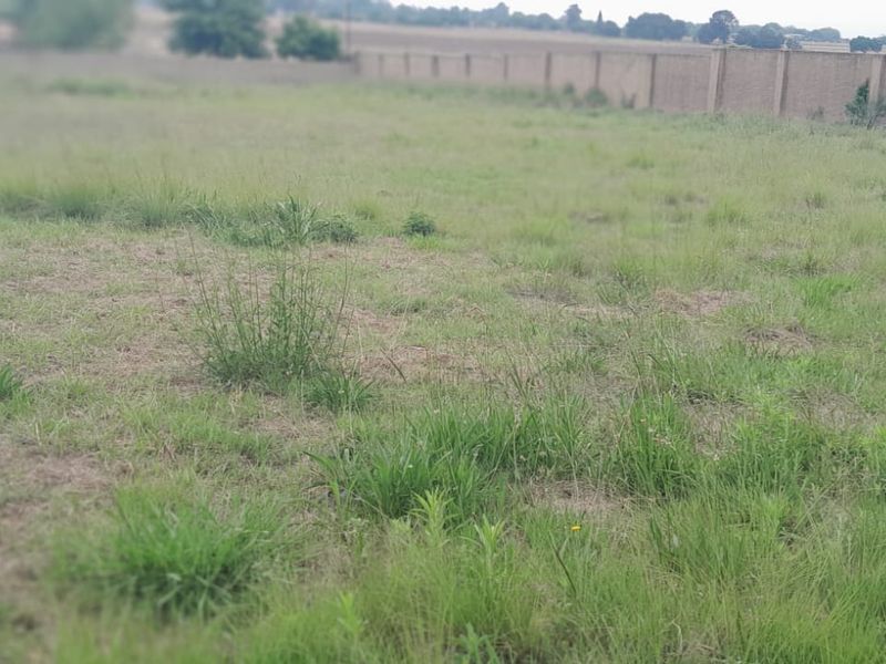 Residential Zoned Vacant Land in Quiet Estate - Photo 5