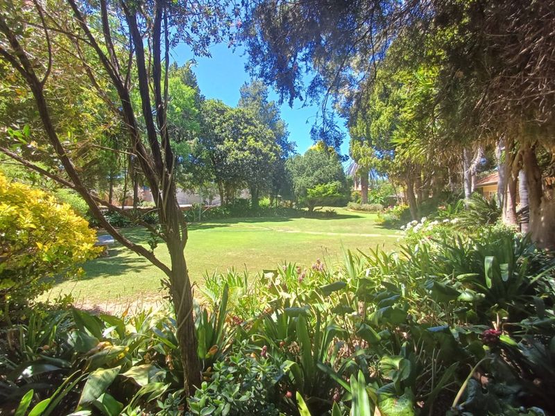 Spacious Family Home or Business Gem in Wilkoppies, Klerksdorp - Photo 6