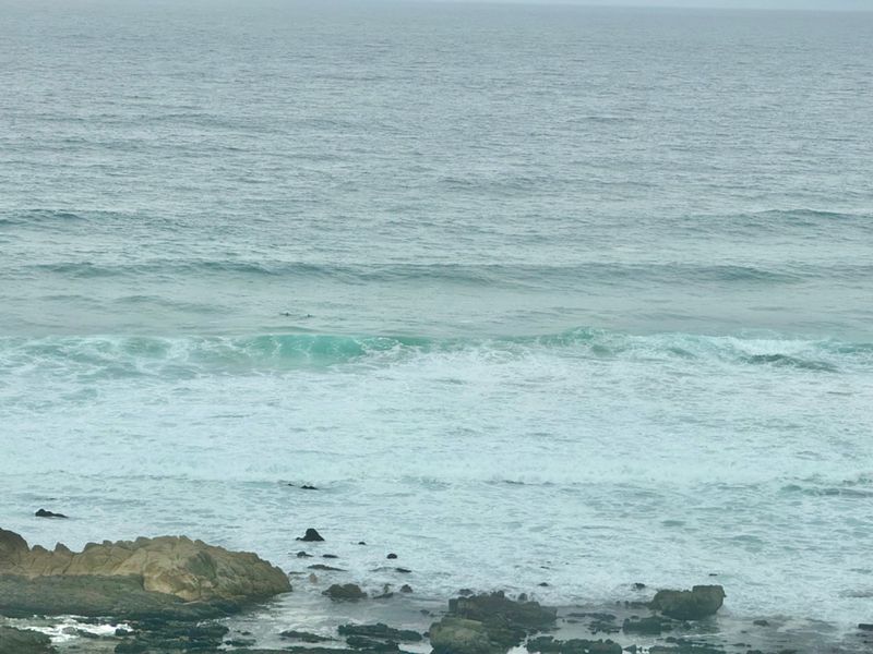 VIEWS VIEWS VIEWS, see the dolphins play and the whales frolicking  - Photo 2