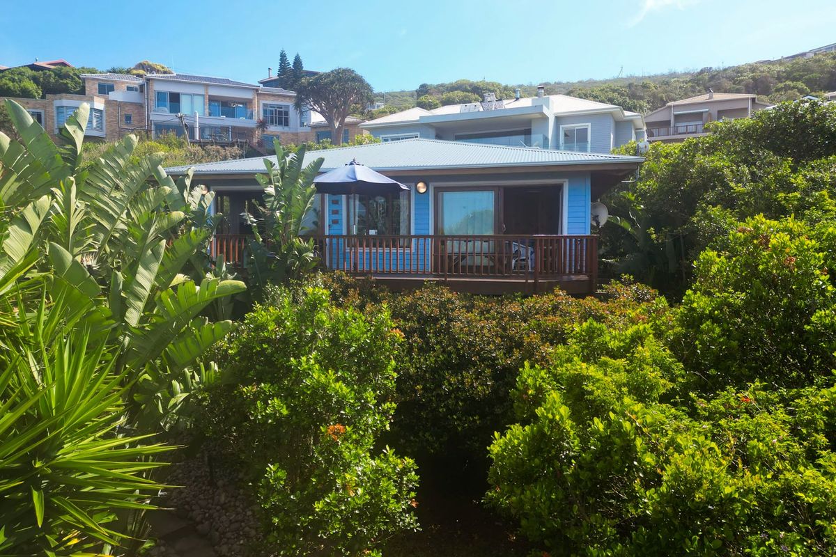 Rear view of a blue weatherboard house featuring a timber deck with balustrade and sliding glass doors, surrounded by lush garden foliage.
