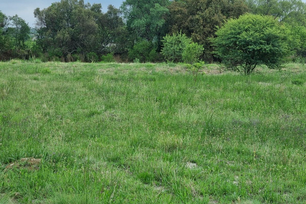 Build Your Future Home in a Tranquil Farm Estate - Photo 2