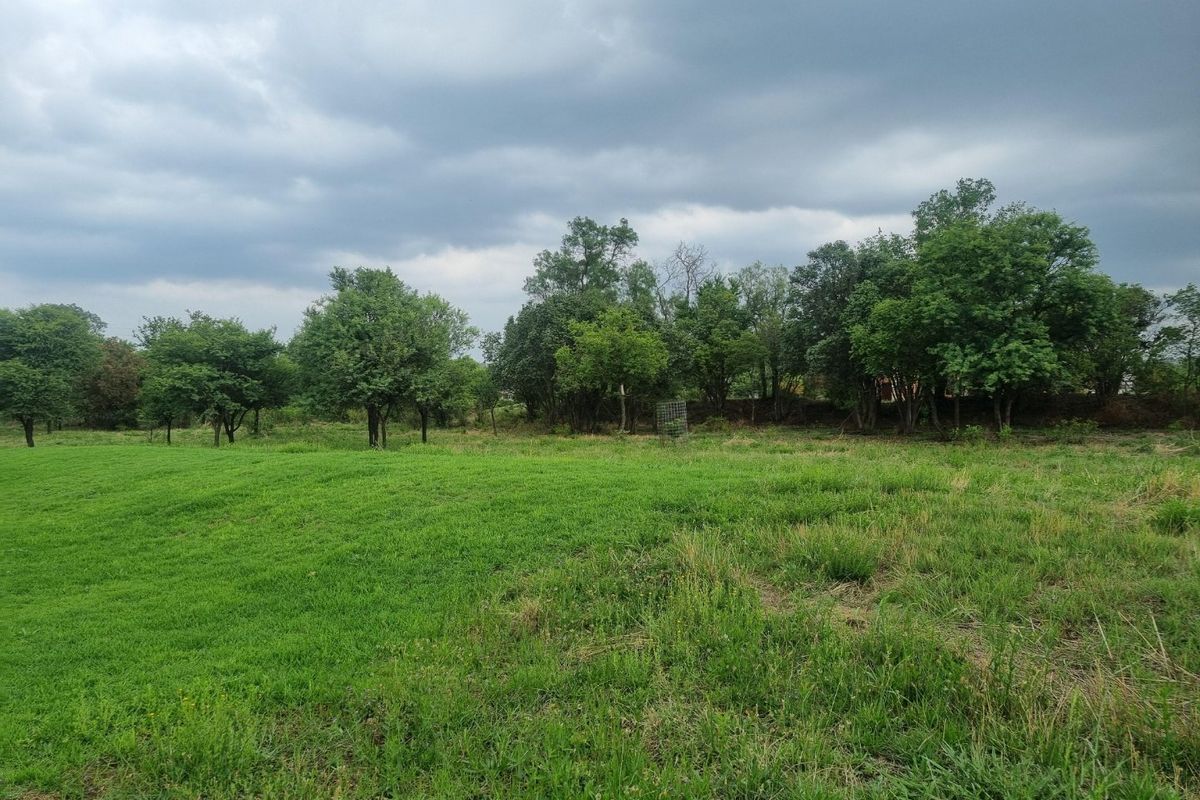 Build Your Future Home in a Tranquil Farm Estate - Photo 4