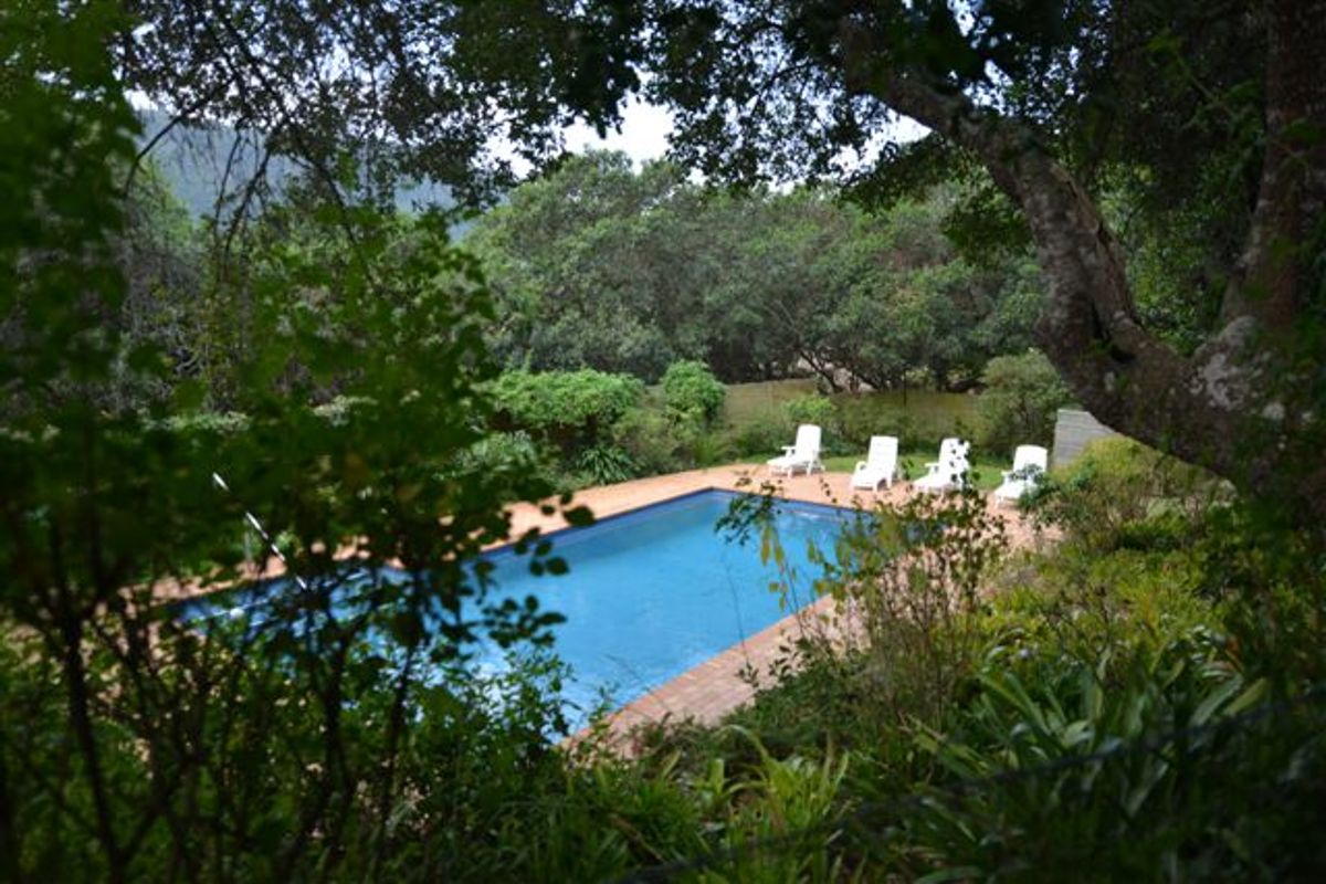 Outstanding Development Opportunity – Prime Garden Route Property - Photo 5