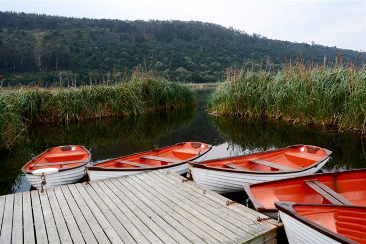 Outstanding Development Opportunity – Prime Garden Route Property - Photo 4