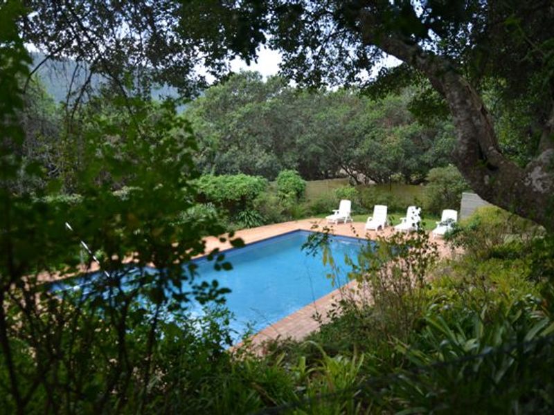 A private swimming pool set within a lush, mature garden, featuring a brick surround and tranquil natural surroundings.