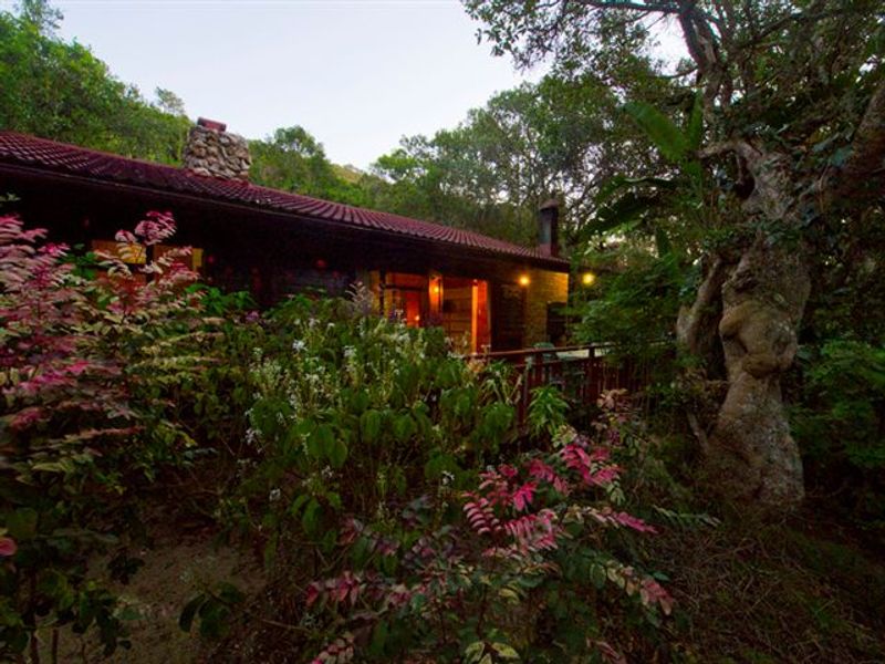A rustic commercial property exterior featuring a stone chimney, tiled roof, and a wooden deck nestled within a lush, wooded garden setting.