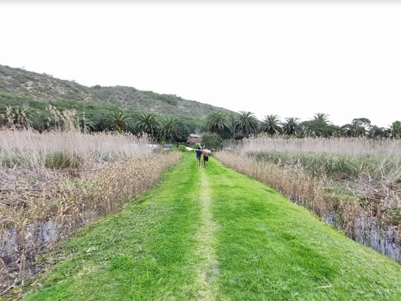 A scenic outdoor pathway featuring a manicured grass trail flanked by natural wetland vegetation and palm trees in a rural commercial setting.