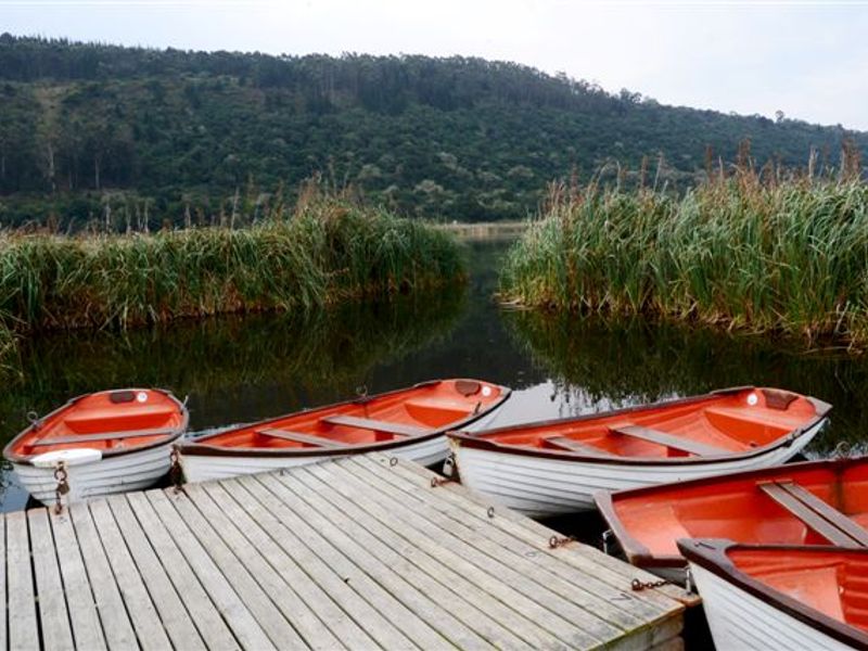A scenic view of a wooden jetty on a calm lake, surrounded by natural reeds and hills, featuring several small rowing boats.
