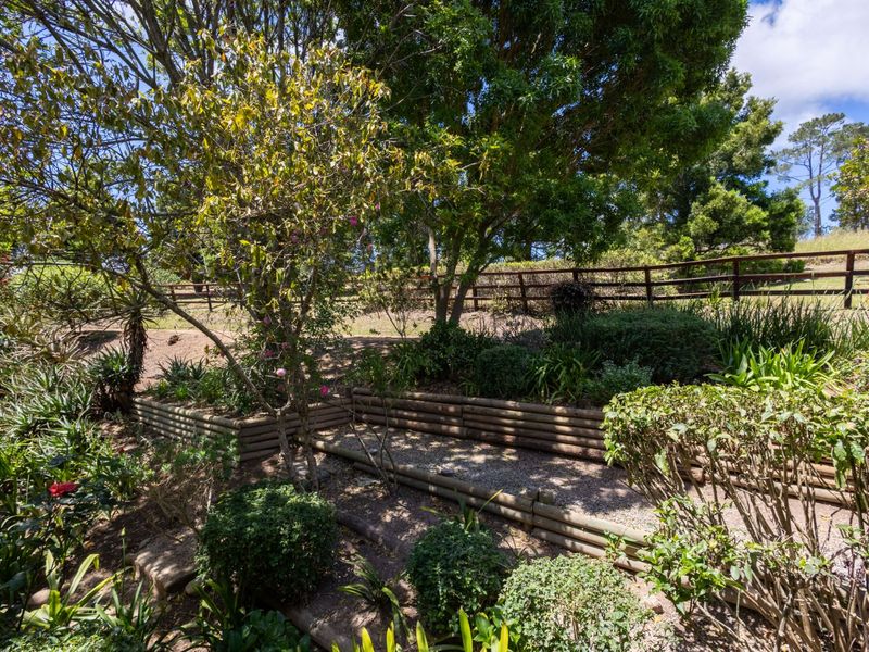 Forest Edge Home for Sale in Gated Estate - Photo 3