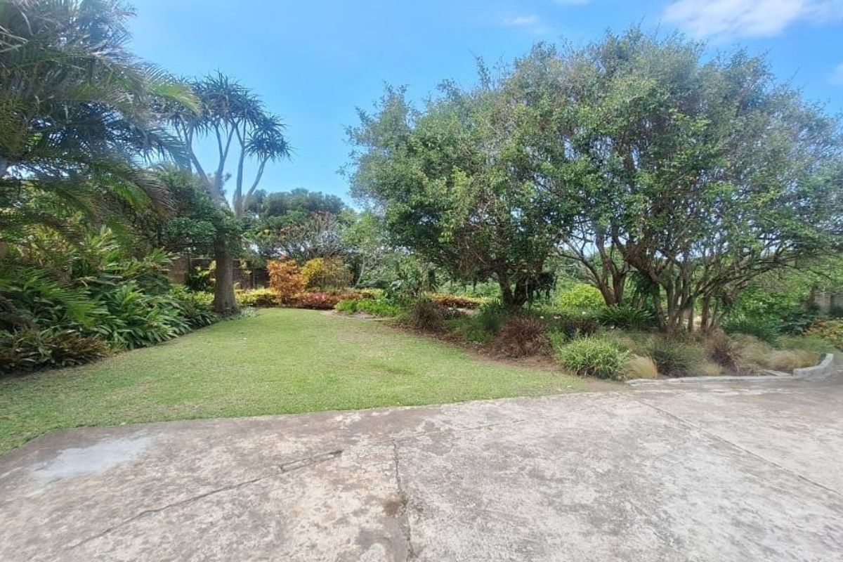 Attractive 3 Bedroom House In Elysium! - Photo 3