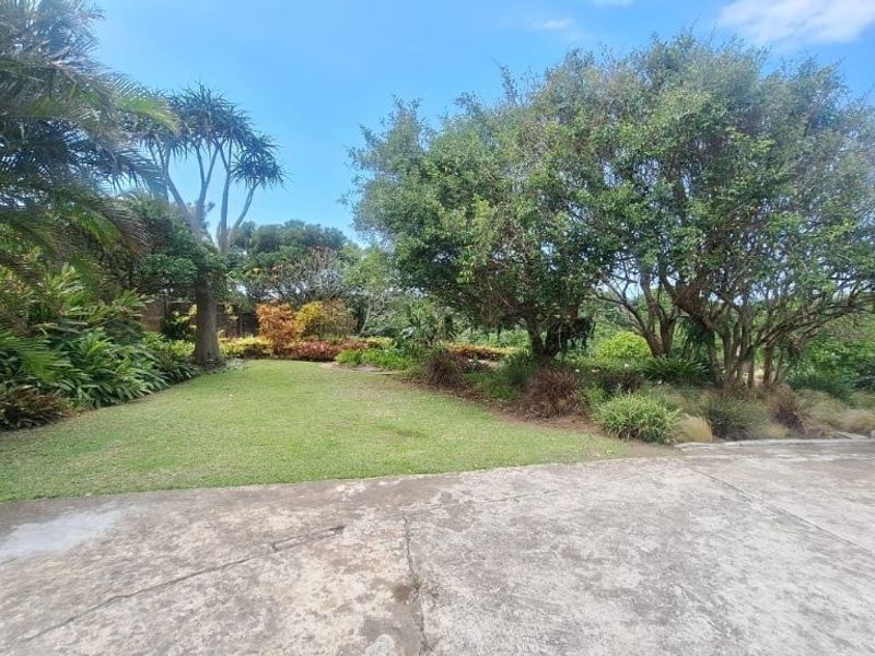 Attractive 3 Bedroom House In Elysium! - Photo 3