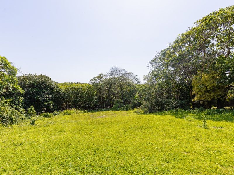 Beachside Dual-Dwelling Dream: Walk to the Beach - Photo 7