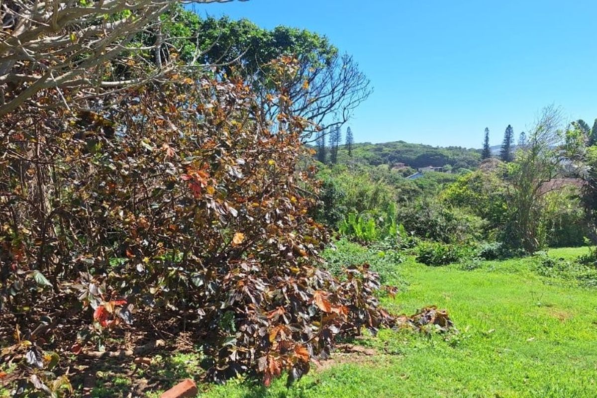 A view of the established garden area on the residential vacant land, featuring mature trees and green lawn space.
