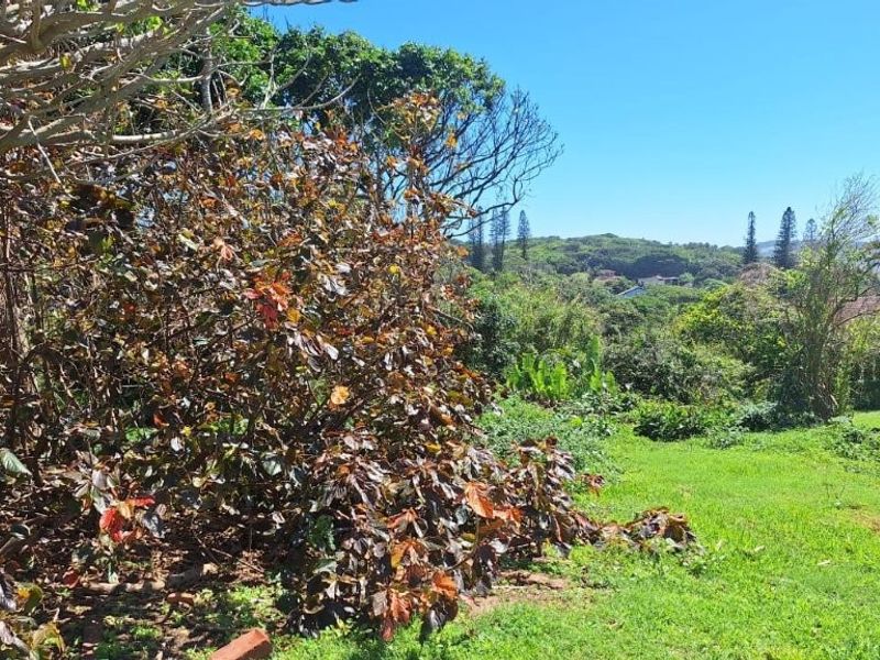 A view of the established garden area on the residential vacant land, featuring mature trees and green lawn space.
