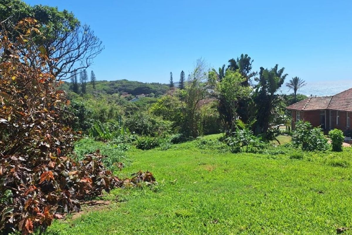 A view of the sloped residential land featuring established greenery and surrounding coastal landscape.