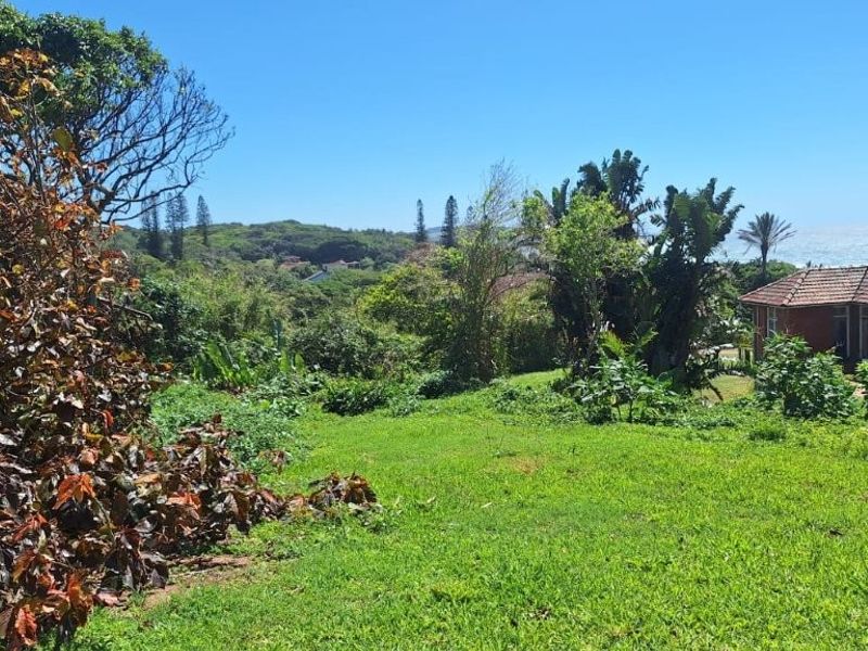 A view of the sloped residential land featuring established greenery and surrounding coastal landscape.