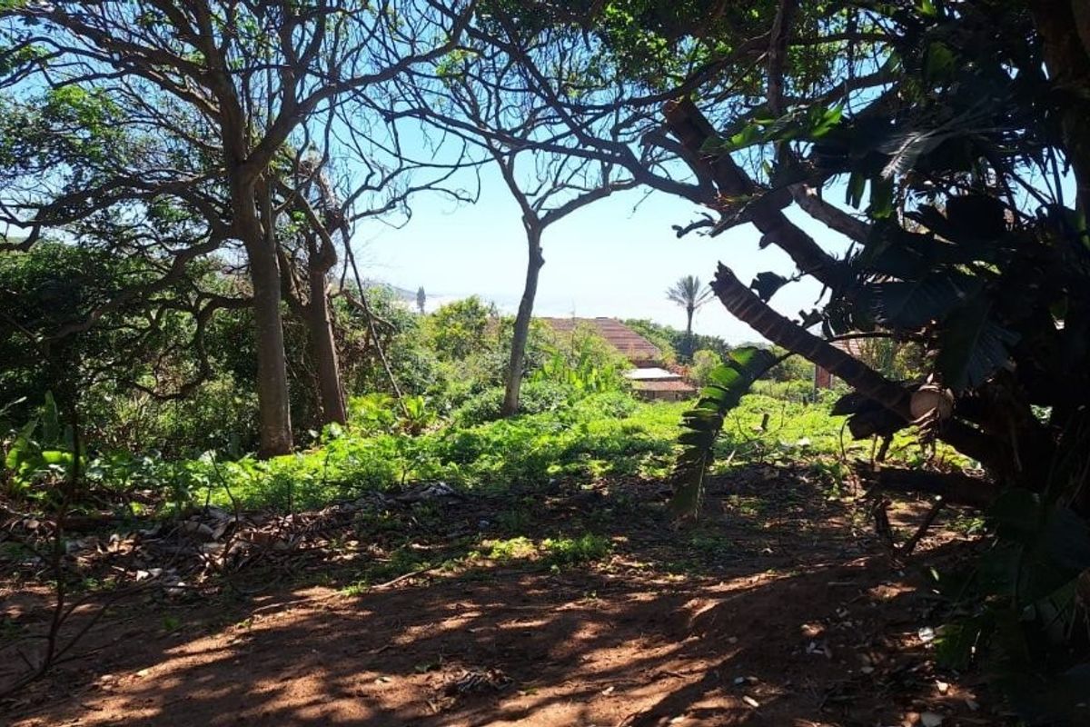 A view of the natural landscape and surrounding vegetation on the vacant residential property.