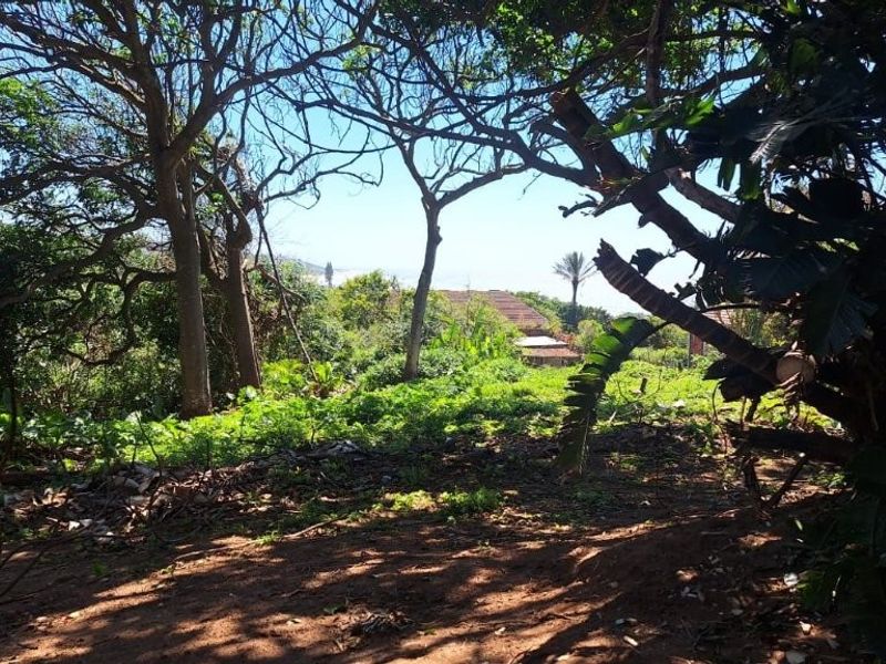 A view of the natural landscape and surrounding vegetation on the vacant residential property.
